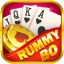 rummy run bihari