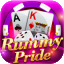 rummy 51 41 bonus